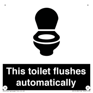 This toilet flushes automatically